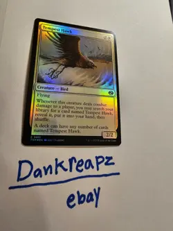 Tempest Hawk Tarkir: Dragonstorm Foil - Image 1