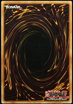 Yu-Gi-Oh! Regenbogenfinsternisdrache PTDN-DE003 Secret Rare [EX-NM] | DE 2008 - Image 2