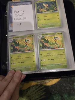 Pokemon TCG Card Collection Two Binders With Ex, Rev Holo, Full Art, 565 total - Image 4
