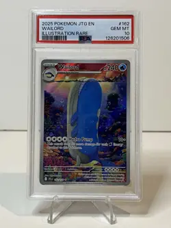 Pokemon Card Wailord 162/159 Illustration Rare Journey Together JTG En PSA 10 - Image 1