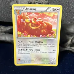 Ursaring RC16/RC25 Radiant Collection Legendary Treasures Pokemon Card - Image 1