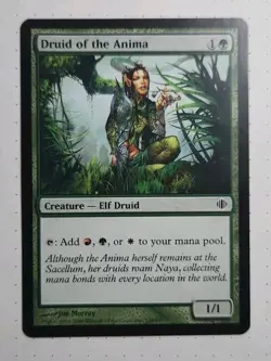 Druid of the Anima -VERY LIGHT play- Shards of Alara 2008 ALA 128/349 MTG Common - Image 1