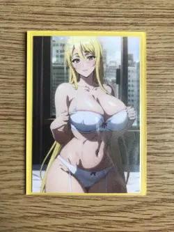 High School Of The Dead Shizuka Marikawa sexy underwear Waifu Doujin NM Card - Image 4
