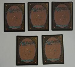 5 Full Art FOIL BASIC LAND SET 1 EACH NM/M Duskmourn MTG Magic the Gathering - Image 2