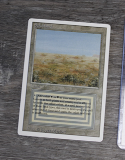 Scrubland Revised Edition Regular - MINT - Image 2
