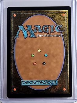 2024 MTG Magic the Gathering SLD Secret Lair Foil Retro Frame #839 Cryptbreaker - Image 2