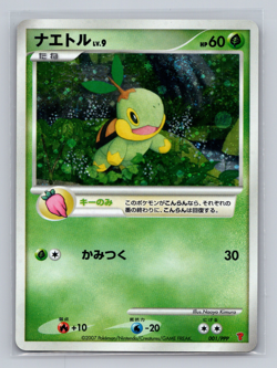 Turtwig 001/PPP Pokemon Fan Club 2000 EXP Points Promo Japanese Holo -Mint - Image 1
