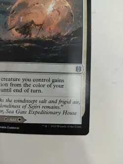 MTG Single - Sejiri Shelter / Sejiri Glacier Zendikar Rising LP/NM - Image 4