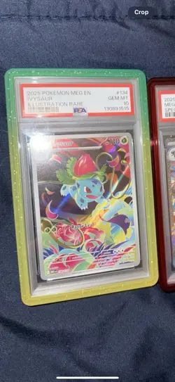 2025 Pokemon En Ivysaur Illustration Rare PSA 10! Mega Evolutions! - Image 4