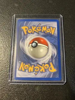 Zangoose 34/110 EX Holon Phantoms Holo Stamped Rare Vintage Pokemon Card - NM - Image 4