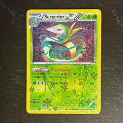 Serperior RC3/RC25 Pokemon Legendary Treasures B&W Radiant Holo Uncommon Card MP - Image 1
