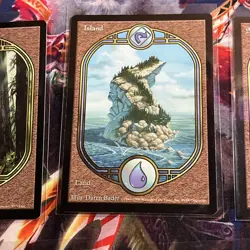 Lot of (5) Swamp Mountain Forest Island (UGL) Unglued nm MTG land - Image 3