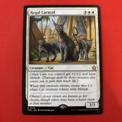 Regal Caracal Foundations Regular - Image 1