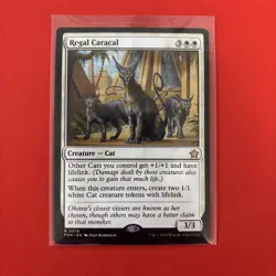 Regal Caracal Foundations Regular - Image 3