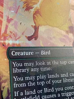 Traveling Chocobo Borderless Foil M 0406 Final Fantasy MTG FIN NM- - Image 3