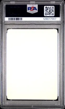 2022 POKEMON JAPANESE S PROMO STICKER LET'S HAVE FUN! SPRING, POKEKA PSA 9 - Image 2