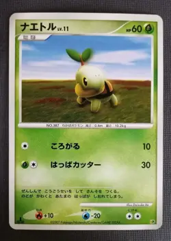 Turtwig - Entry Pack 2008 DP Pokemon Card LP - Image 1