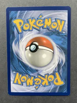 M Sharpedo EX XY200a Alternate Art Holo - XY Black Star Promo - Pokemon - NM - Image 2