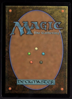 Rammas Echor, Ancient Shield 0505 Borderless Rare Foil Lord of the Rings MTG NM - Image 2