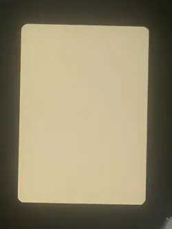 Magic MTG Italian Revised Hurloon Minotaur Artist Proof Near Mint Only 50 Exist - Image 2