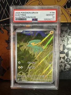 2025 POKEMON DRI EN-DESTINED RIVALS ILLUSTRATION RARE #196 ELECTRIKE PSA 10 - Image 1