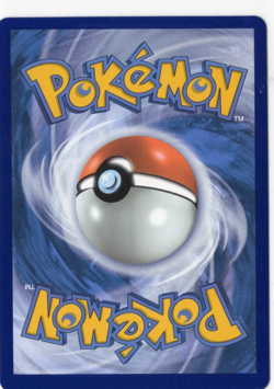 Pokemon TCG Lance's Charizard V SWSH133 Sword & Shield Black Star Promo NM - Image 2