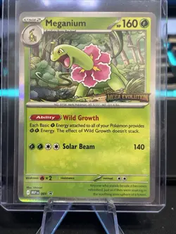Meganium 001 - Mega Evolution Prerelease Stamped Promo Holo Pokemon Mint - Image 1