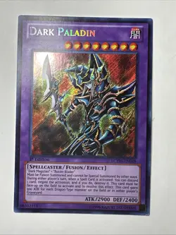 Dark Paladin - LP - LCYW-EN048 - 1st Edition - Secret Rare - Image 1