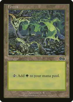 Forest (347) Urza's Saga NM Basic Land MAGIC THE GATHERING MTG - Image 1