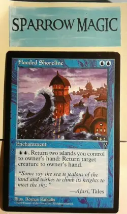 1x Flooded Shoreline - LP - Visions - SPARROW MAGIC - ENGLISH - Image 1