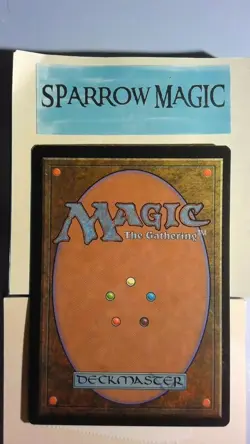1x Flooded Shoreline - LP - Visions - SPARROW MAGIC - ENGLISH - Image 2