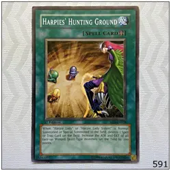 Harpies' Hunting Ground - RDS-EN038 - Common 1st Edition Yugioh - Image 1