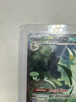 Pokemon TCG Serperior EX 164/086 Illustration Rare Holo Sv: Black Bolt Near Mint - Image 2