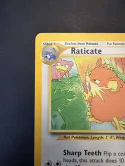 Pokemon Vintage Southern Islands Raticate Rare Promo English Tcg - Image 3