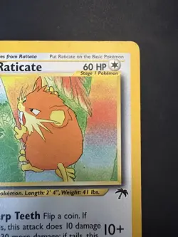 Pokemon Vintage Southern Islands Raticate Rare Promo English Tcg - Image 4