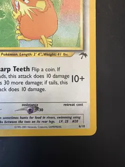 Pokemon Vintage Southern Islands Raticate Rare Promo English Tcg - Image 5