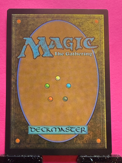 ISAMARU HOUND OF KONDA - Image 2