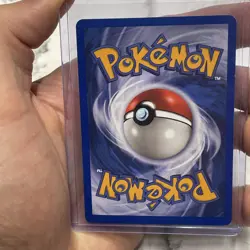 Pokemon Sentret Common Normal Aquapolis 107/147 Pokemon TCG Vintage LP Nintendo - Image 3