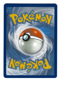 Pokemon TCG Shining Fates Shiny Vault Cramorant Holo SV030/SV122 NM/M - Image 2