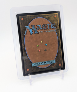 MTG - Spider-Punk - FOIL Borderless Rare #207 - Spider-Man NM - Image 2