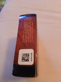 Mtg SPIRITBANE Champions of Kamigawa Deck Box Empty No Magic The Gathering Cards - Image 4