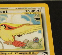 Pidgeot 2/18 Southern Islands-WOTC- Pokemon Card - LP/MP - Image 3