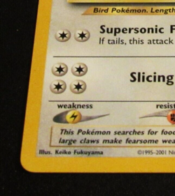 Pidgeot 2/18 Southern Islands-WOTC- Pokemon Card - LP/MP - Image 4