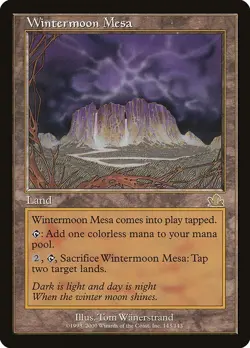 MTG Prophecy --- WINTERMOON MESA --- RARE! NM! Magic the Gathering! - Image 3