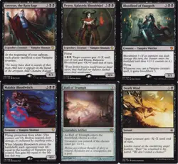 Vampire (Black) Deck - Anowon - Vaasgoth- 60 Cards - MTG - Magic Gathering - Image 1