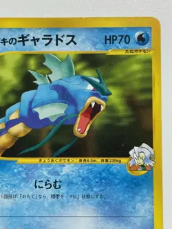 Clair Gyarados Pokemon Card 048/141 1st Edition Non Holo Japanese e-Card F/S Fro - Image 5