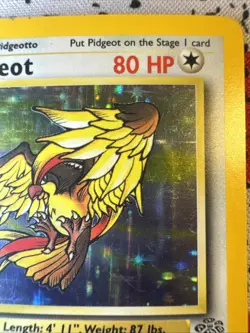 Pidgeot 08/64 Jungle 1999 Holo Rare Pokemon Card - Image 3