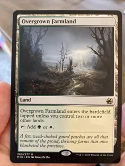 Overgrown Farmland midnight hunt 265/277 innistrad - Image 3