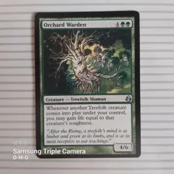 Magic: the Gathering - Morningtide ~ Uncommon ~ Orchard Warden - Image 1