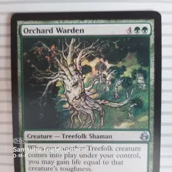 Magic: the Gathering - Morningtide ~ Uncommon ~ Orchard Warden - Image 2